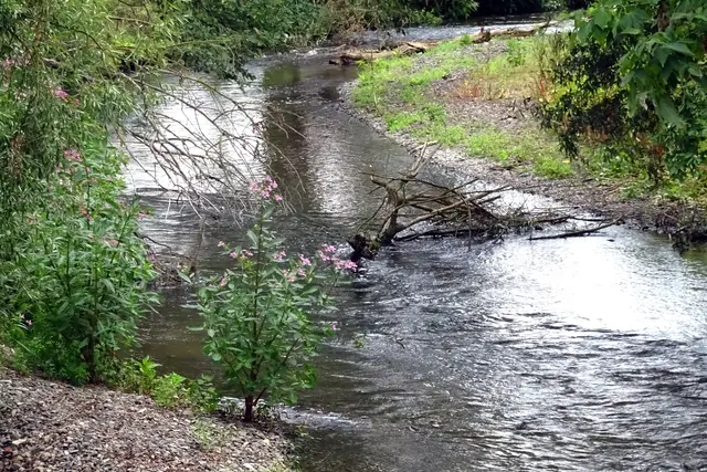 die Bode bei Ditfurt