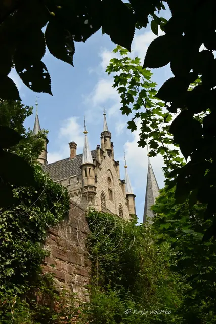 Schlösser in Niedersachsen (Foto: Katja Woidtke)

Rund um das Schloss Marienburg bei Pattensen | Foto: Katja Woidtke