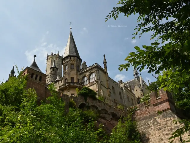 Schlösser in Niedersachsen (Foto: Katja Woidtke)

Rund um das Schloss Marienburg bei Pattensen | Foto: Katja Woidtke