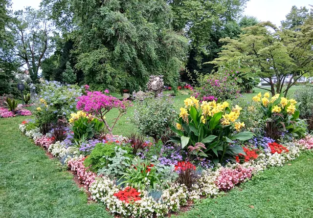 Parkanlage auf der Lindauer Insel. | Foto: Peter Heider