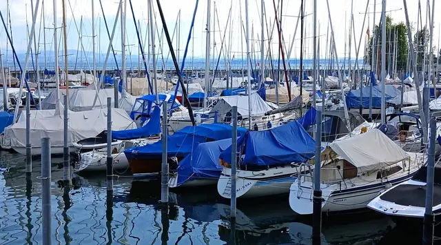 Bodensee Hafen  | Foto: Peter Heider