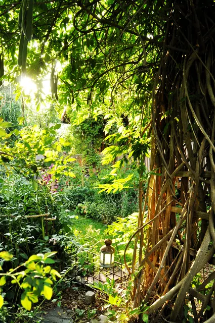 Gekonnt werden Durchblicke im Naturgarten gestaltet. | Foto: Josef Fink