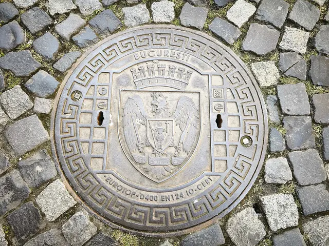 Der Bukarest-Kanaldeckel | Foto: Shima Mahi