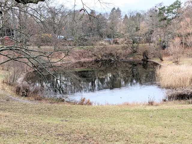 Toteisteich am Alboinplatz
