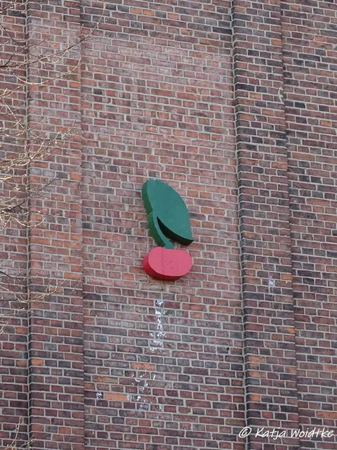 Kirsche in der Braunstraße in Hannover - Calenberger Neustadt (Foto: Katja Woidtke) | Foto: Katja Woidtke