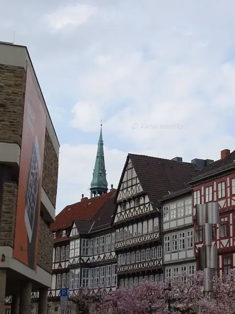 Kirsche am Holzmarkt in Hannover - Altstadt (Foto: Katja Woidtke) | Foto: Katja Woidtke