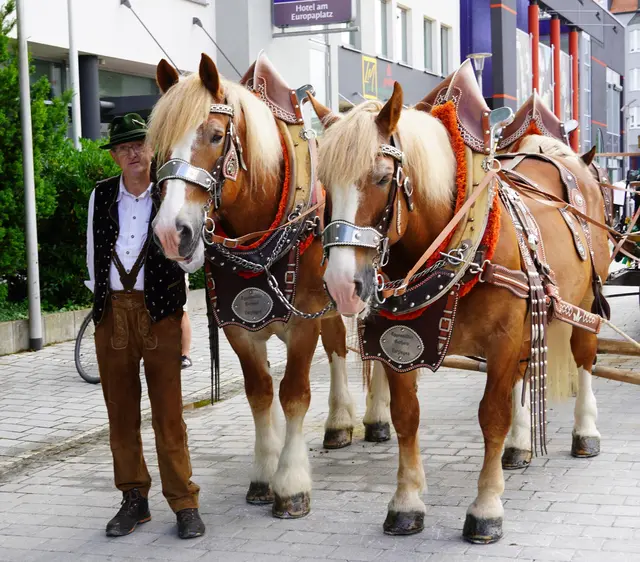 Foto: Anke Maresch