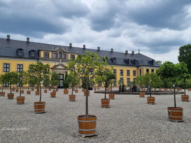 Großer Garten Herrenhausen (Foto: Katja Woidtke)

Neu gestaltetes Orangenparterre lädt zu einer Reise in den Süden ein | Foto: Katja Woidtke