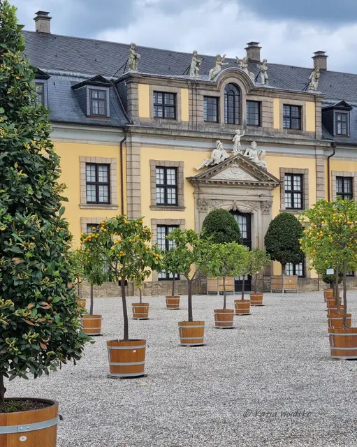 Großer Garten Herrenhausen (Foto: Katja Woidtke)

Neu gestaltetes Orangenparterre lädt zu einer Reise in den Süden ein | Foto: Katja Woidtke