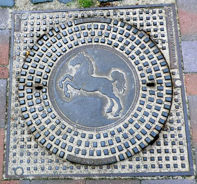 Das Niedersachsenpferd auch 