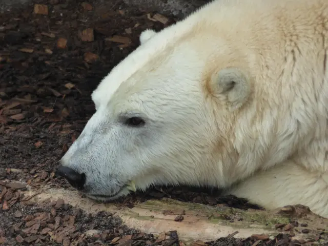 Ein ruhiges Plätzchen