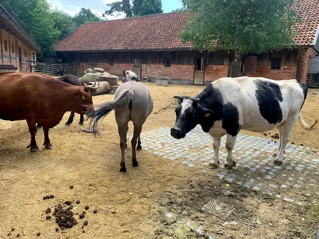 Zum Schluss auf Meyers Hof
