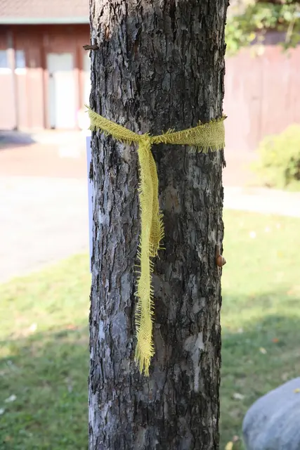 Foto: Landratsamt Augsburg