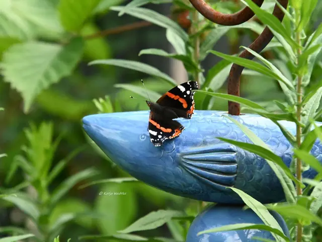 Garten im Jahreslauf - Juli (Foto: Katja Woidtke)

Summender Sommergarten | Foto: Katja Woidtke