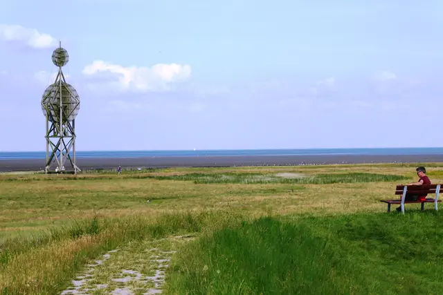 Die Neuwerker Ostbake im Ostvorland.
