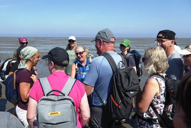 Patricia als fachkundige Wattführerin (hier in der Bildmitte mit Sonnenbrille und blauer Weste) brachte uns Wattwürmer, Krebse, Muscheln und viele weitere Tier- und Pflanzenarten mit ihren Besonderheiten näher.