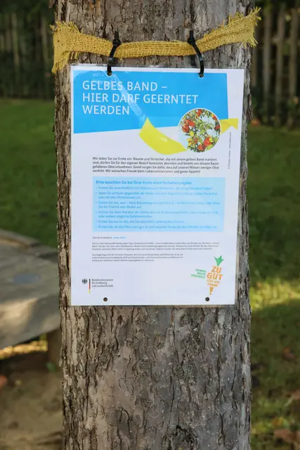Apfelbäume Gelbes Band | Foto: Julia Pietsch