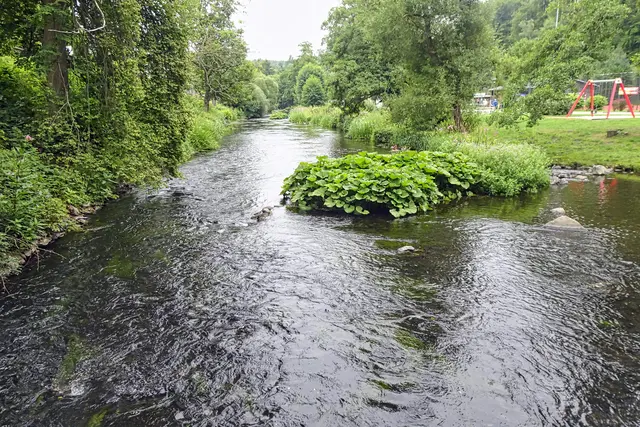 die Bode am Spielplatz Altenbrak
