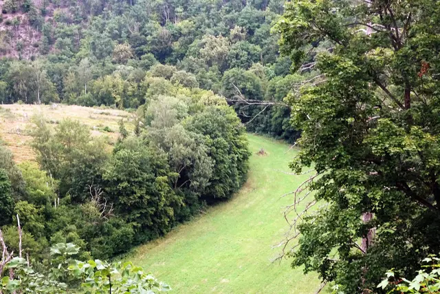 Blick vom Wilhelmsblick ins Bodetal, die Bode ist versteckt hinter der bogenförmigen Baumreihe 