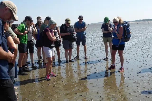 Patricia erläutert den Lebensraum im Wattenmeer der südöstlichen Nordsee, das zum Welterbe der Menschheit gehört.