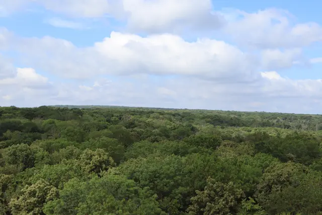Blick zum Horizont,
Hunsrück 290 km entfernt