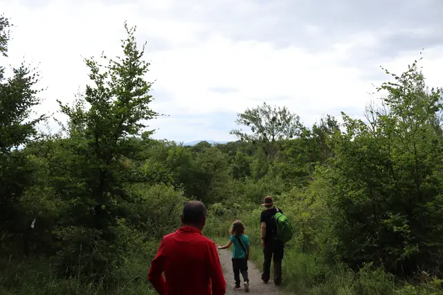 In der Ferne der Inselsberg