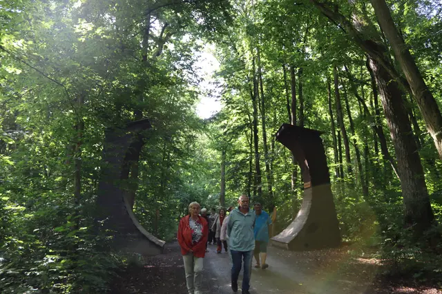 Redwood, Küstenmammutbäume gehören zu den 