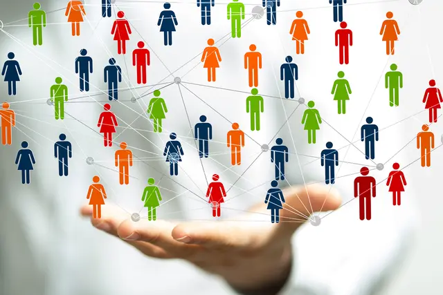 Foto: vegefox.com/stock.adobe.com