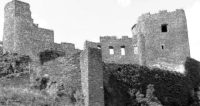 Susanne - 1 Punkt -  Burg Frauenstein