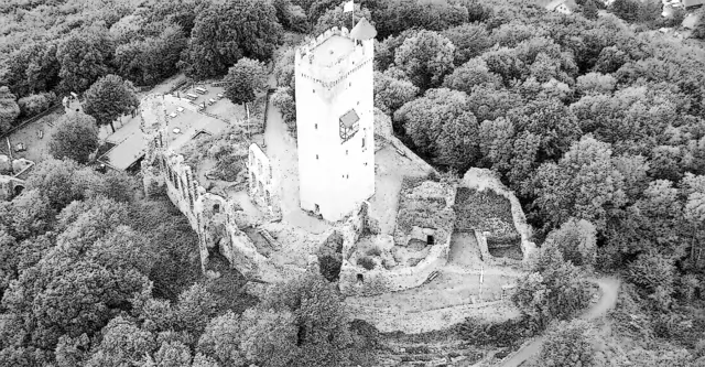 Amadeus - 1 Punkt - Burg Olbrück