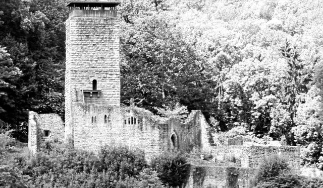 Nicole - 1 Punkt -  Ruine Hinterburg