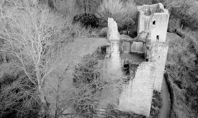 Amadeus - 1 Punkt - Hohensyburg