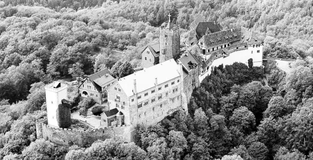 Amadeus / Iris - je 1 Punkt - Wartburg