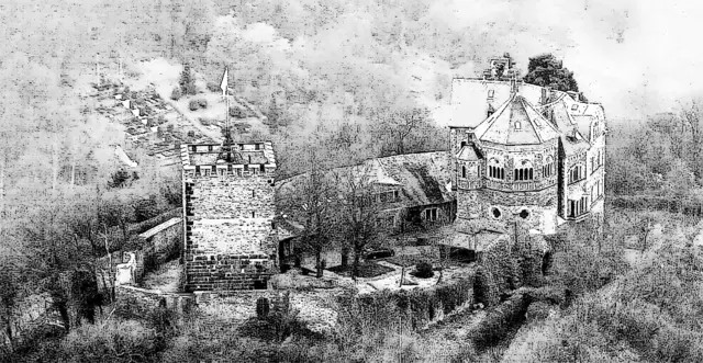 Nicole - 1 Punkt - Burg Rheineck