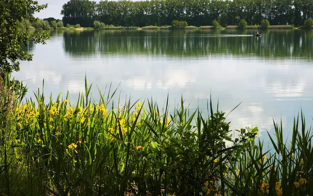 Am Wietzesee | Foto: Shima Mahi