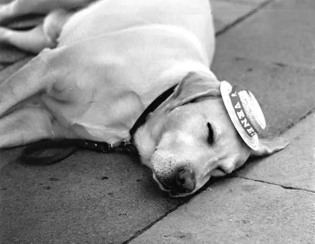 Ermattet vor San Marco