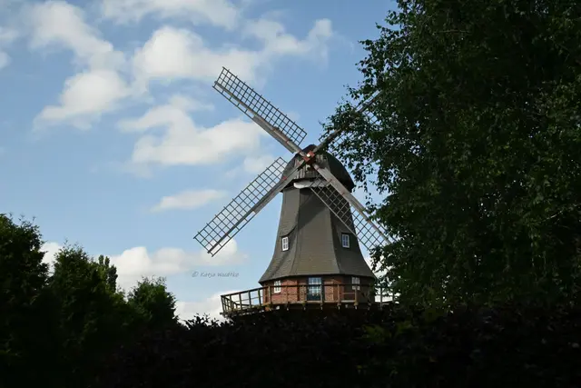 Mühlenmontag (Foto: Katja Woidtke)

Galerieholländer in Schierbrok | Foto: Katja Woidtke