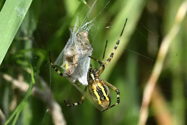 Foto: Copyright Andreas Schäfer