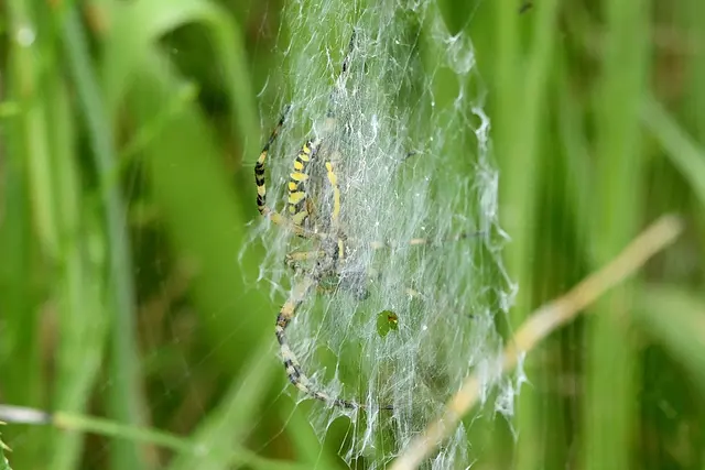 Foto: Copyright Andreas Schäfer