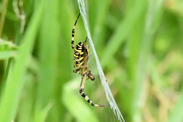 Foto: Copyright Andreas Schäfer