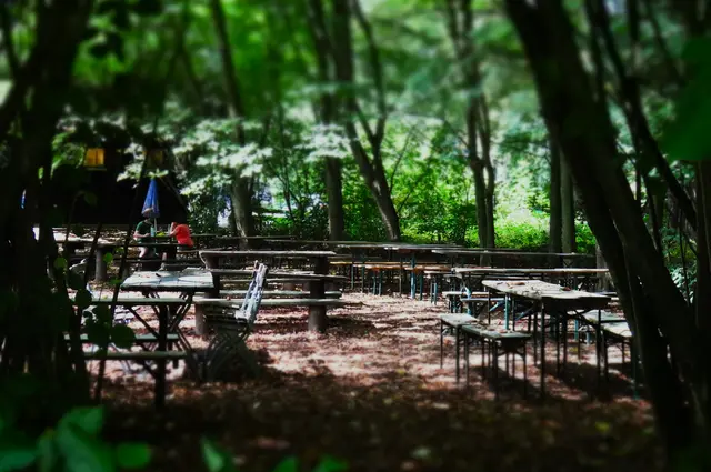 Bierzeltgarnituren Wiesendachhaus