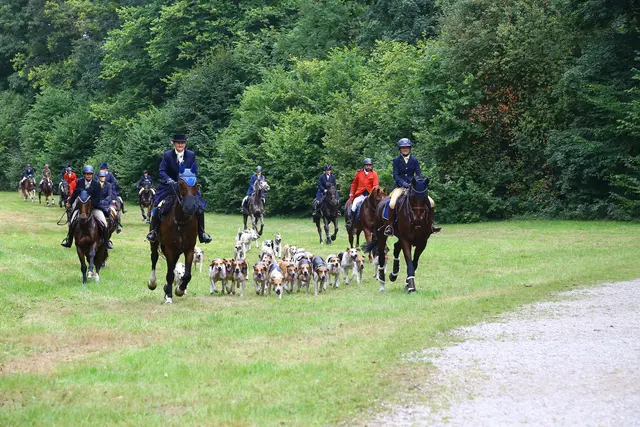 Schleppjagd am Sisi-Schloss. | Foto: Erich Echter