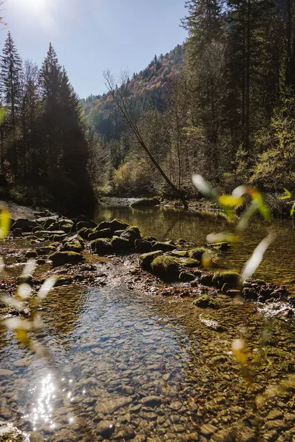 Beim Umweltpreis rückt der Bezirk Schwaben mit einer neuen Kategorie erstmals die schwäbischen Flüsse, Seen, Bäche und deren Artenvielfalt in den Mittelpunkt.  | Foto: Martin Augsburger
