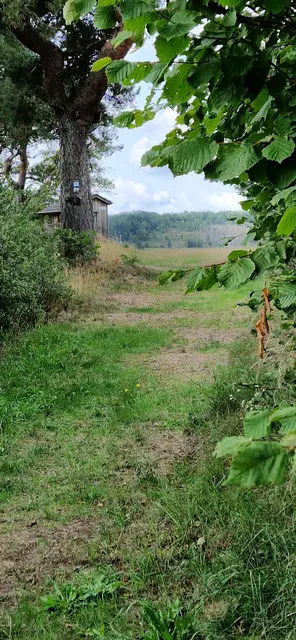 Weg zum Hardt Hüttchen