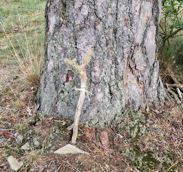 Ein Baumgeist von der Hardt