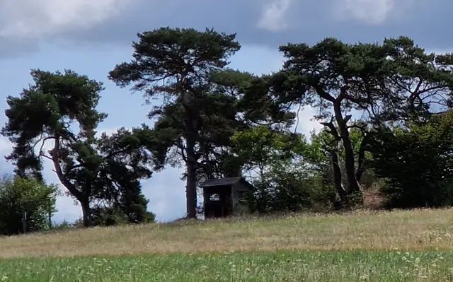 Die Schutzhütte auf der Hardt in Hatzfeld