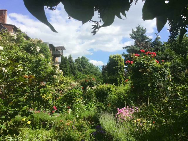 Wunderschöne Bürgerreporter Gärten! | Foto: Ralf Springer