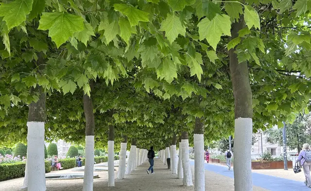 Beim Kunstberg (Mont des Arts)