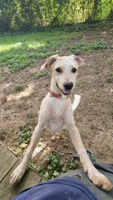 Emily | Foto: Sabine Pollok