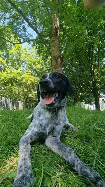 Emil | Foto: Sabine Pollok